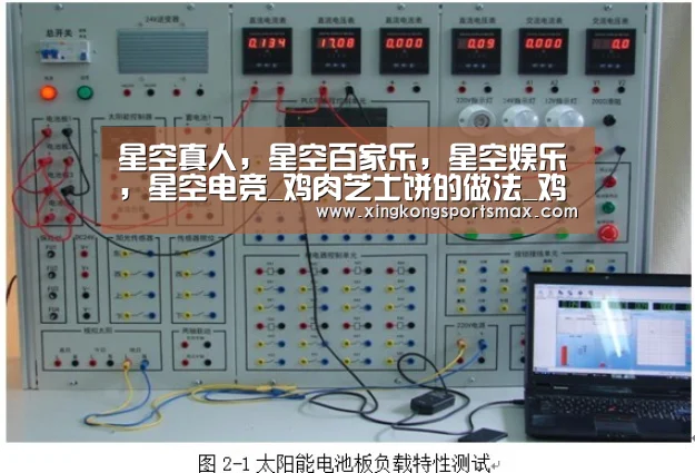 星空真人,星空百家乐,星空娱乐,星空电竞_鸡肉芝士饼的做法_鸡肉芝士饼怎么做_紫色草2004的菜谱(图1) 星空真人,星空百家乐,星空娱乐,星空电竞