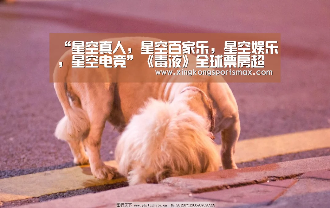 星空真人，星空百家乐，星空娱乐，星空电竞