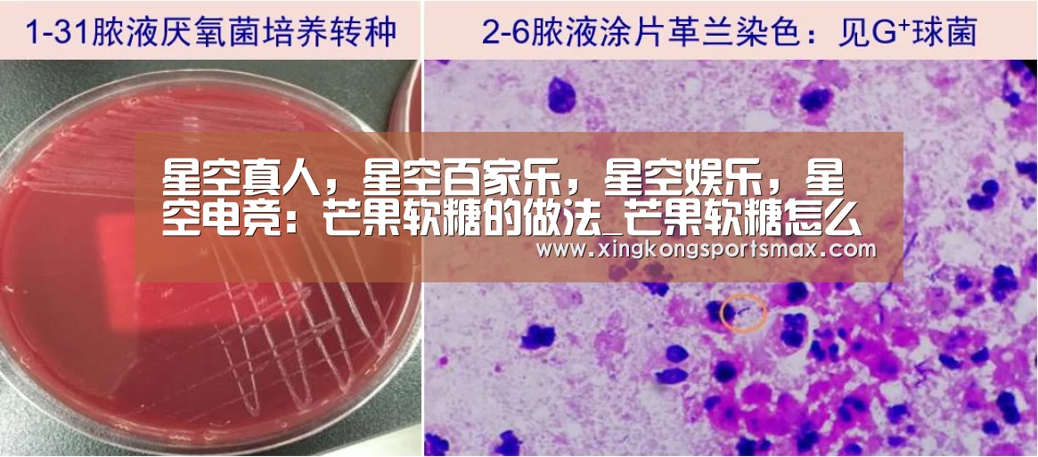 星空真人,星空百家乐,星空娱乐,星空电竞:芒果软糖的做法_芒果软糖怎么做_美女天天的菜谱(图1) 星空真人,星空百家乐,星空娱乐,星空电竞