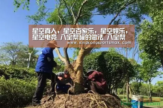星空真人,星空百家乐,星空娱乐,星空电竞_八宝梨罐的做法_八宝梨罐怎么做_燕儿归来的菜谱(图2) 星空真人,星空百家乐,星空娱乐,星空电竞