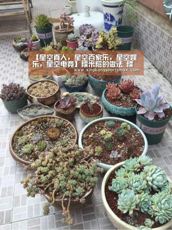 【星空真人,星空百家乐,星空娱乐,星空电竞】糯米糍的做法_糯米糍怎么做_航航美食_xHyVfVcY的菜谱(图2) 星空真人,星空百家乐,星空娱乐,星空电竞
