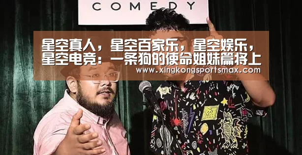 星空真人，星空百家乐，星空娱乐，星空电竞