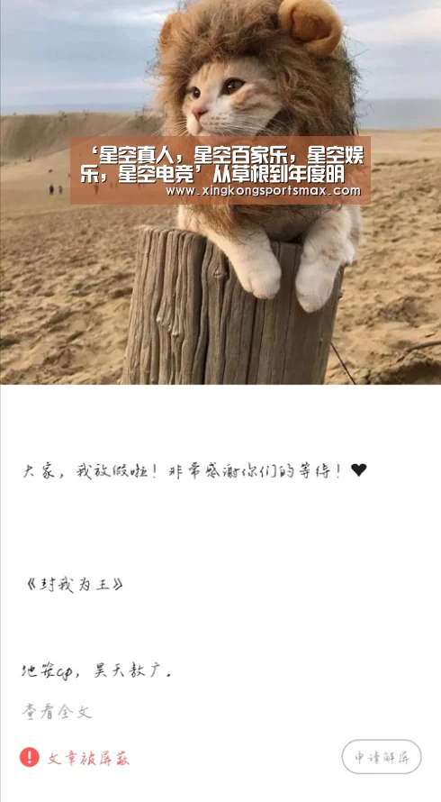 ‘星空真人,星空百家乐,星空娱乐,星空电竞’从草根到年度明星舞团,D次方燃起了“平民”的舞蹈梦(图2) 星空真人,星空百家乐,星空娱乐,星空电竞