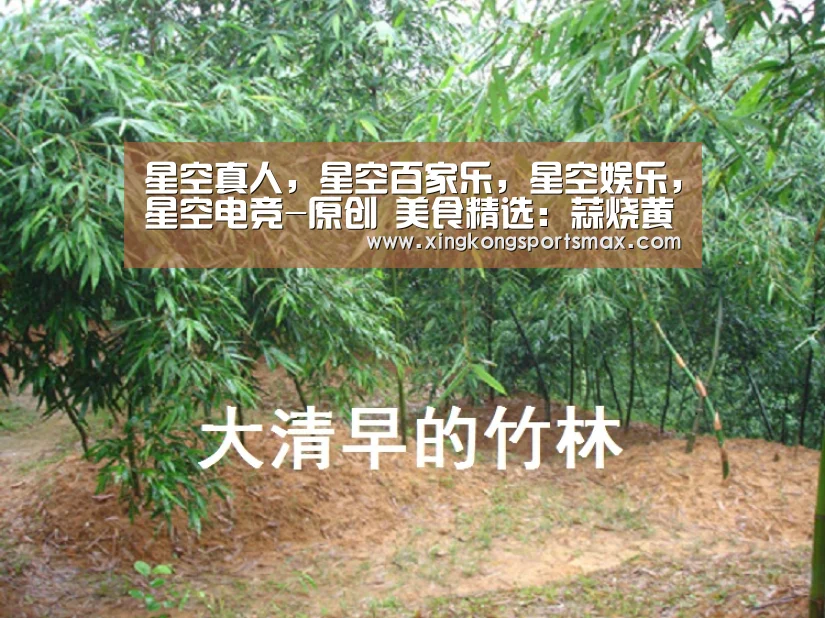 星空真人,星空百家乐,星空娱乐,星空电竞-原创 美食精选:蒜烧黄骨鱼,香煎里脊葱卷,砂锅水果粥,香煎鱼排的做法(图2) 星空真人,星空百家乐,星空娱乐,星空电竞