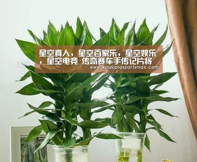 星空真人,星空百家乐,星空娱乐,星空电竞_传奇赛车手传记片将拍“绿巨人浩克”自导自演(图2) 星空真人,星空百家乐,星空娱乐,星空电竞